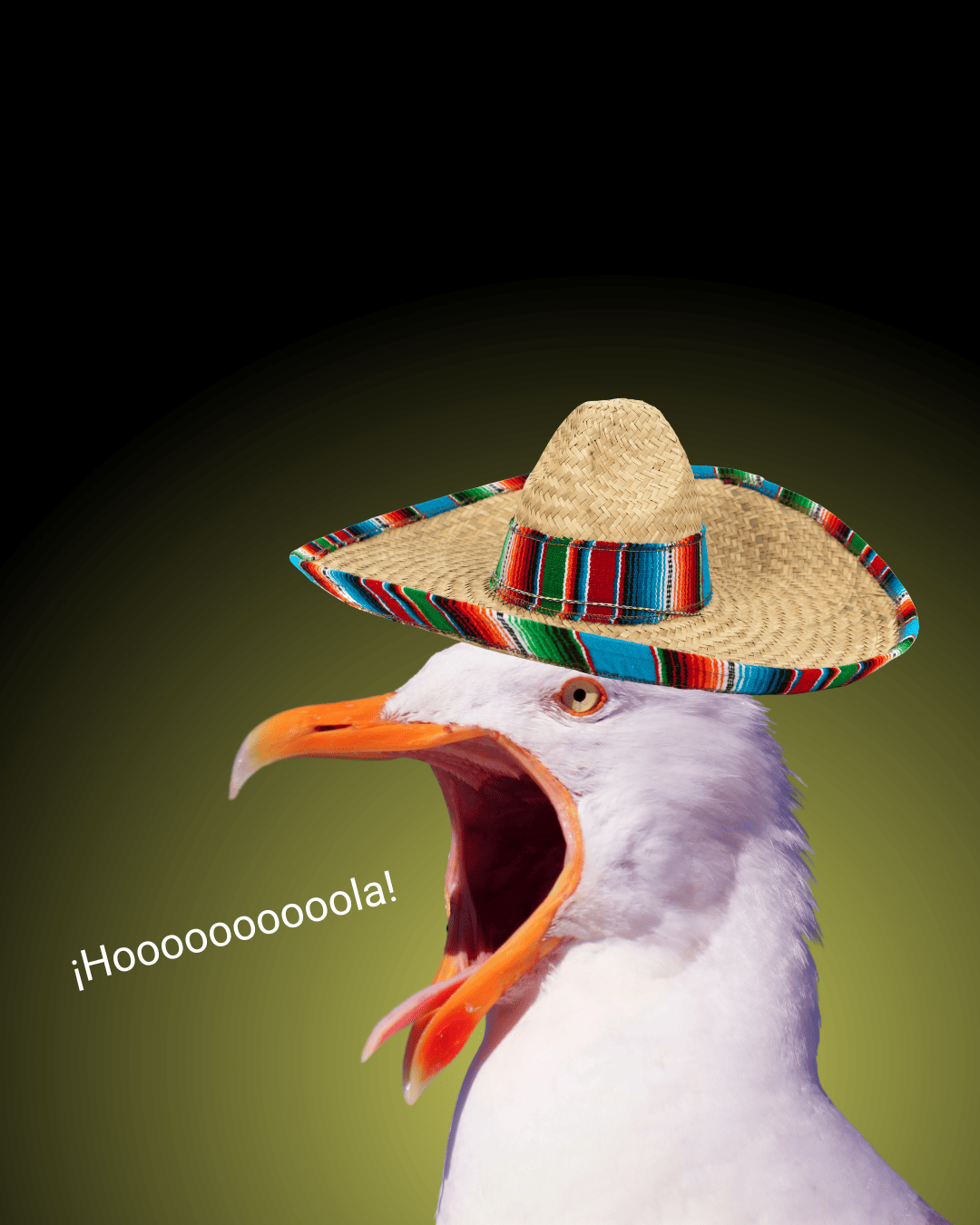 El español parlanchín