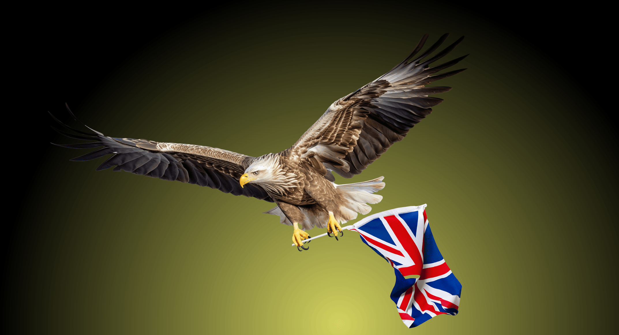 Відеоогляд курсу