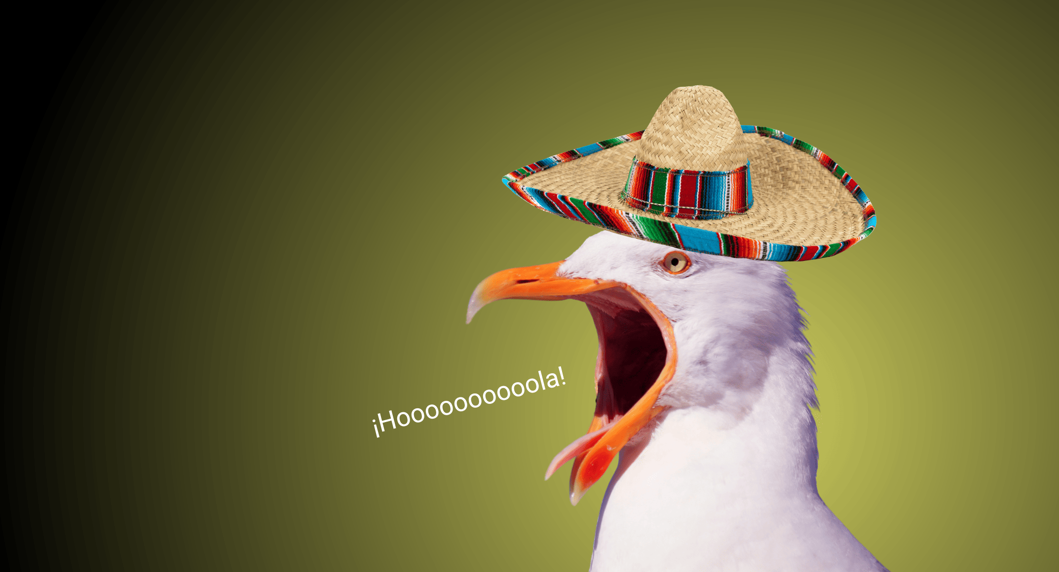 Відеоогляд курсу